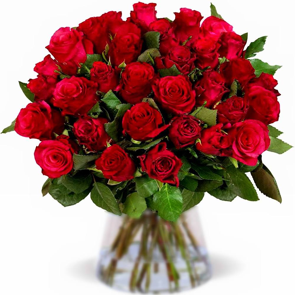 Blumenstrauß mit 30 roten Rosen